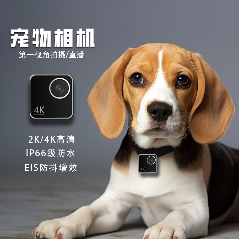 กล้องติดปลอกคอสัตว์เลี้ยง กล้อ - Cameras บทวิจารณ์และราคา